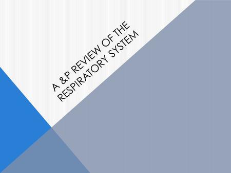 A &P REVIEW OF THE RESPIRATORY SYSTEM. Describe the principal functions of the respiratory system.