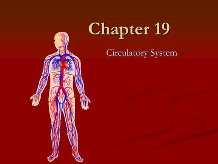 Chapter 19 Circulatory System.