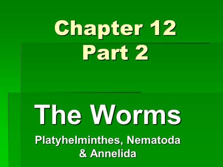 Chapter 12 Part 2 The Worms Platyhelminthes, Nematoda & Annelida.