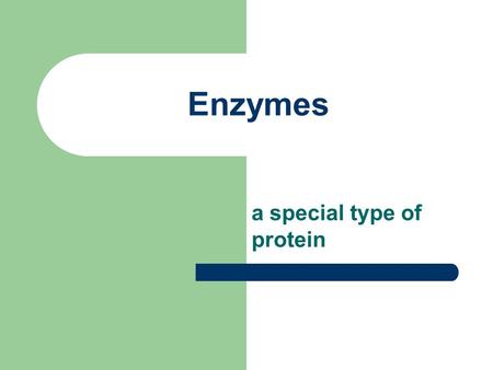Enzymes a special type of protein.
