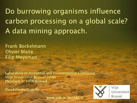 Do burrowing organisms influence carbon processing on a global scale?