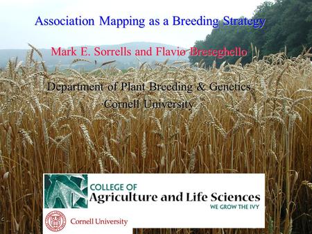 Association Mapping as a Breeding Strategy