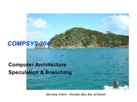 COMPSYS 304 Computer Architecture Speculation & Branching Morning visitors - Paradise Bay, Bay of Islands.