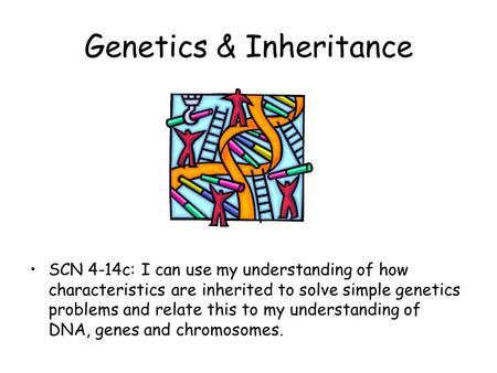 Genetics & Inheritance