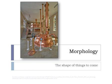Morphology The shape of things to come Courtesy Luca Galuzzi (Lucag)