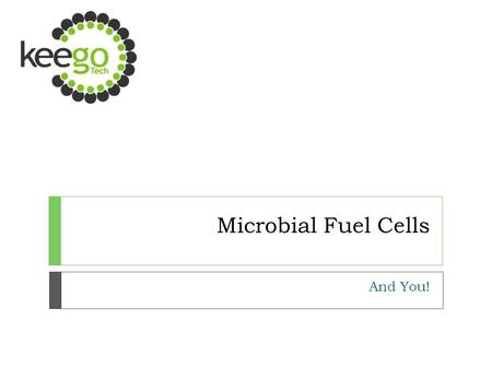 Microbial Fuel Cells And You!. What are MFCs? o MFCs are bioelectrical devices that harness the natural metabolisms of microbes to produce electrical.
