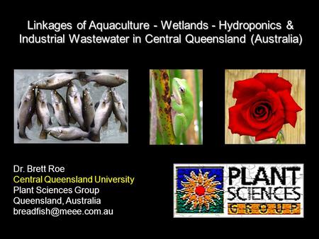 Linkages of Aquaculture - Wetlands - Hydroponics & Industrial Wastewater in Central Queensland (Australia) Dr. Brett Roe Central Queensland University.