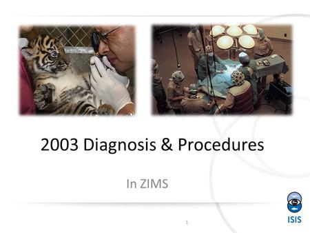 2003 Diagnosis & Procedures In ZIMS 1. Business Rules Diagnosis & Procedures have complex Business Rules These Business Rules must be followed or you.