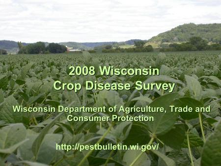2008 Wisconsin Crop Disease Survey 2008 Wisconsin Crop Disease Survey Wisconsin Department of Agriculture, Trade and Consumer Protection Wisconsin Department.