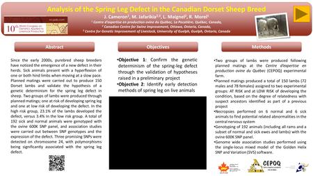 Analysis of the Spring Leg Defect in the Canadian Dorset Sheep Breed J. Cameron 1, M. Jafarikia 2,3, L. Maignel 2, R. Morel 1 1 Centre d’expertise en production.