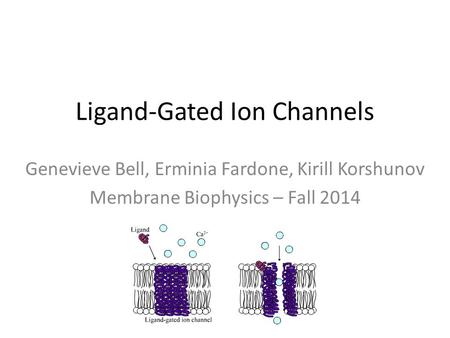 Ligand-Gated Ion Channels Genevieve Bell, Erminia Fardone, Kirill Korshunov Membrane Biophysics – Fall 2014.