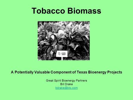 A Potentially Valuable Component of Texas Bioenergy Projects