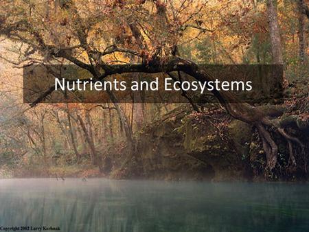 Nutrients and Ecosystems. Fertilizer Application Rates Lawns: 80-240 kg N/ha/yr Athletic Fields: 200-280 kg N/ha/yr Pastures (Dairy): 240-360 kg N/ha/yr.