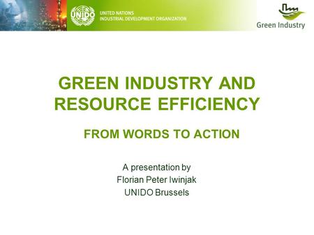 GREEN INDUSTRY AND RESOURCE EFFICIENCY A presentation by Florian Peter Iwinjak UNIDO Brussels FROM WORDS TO ACTION.