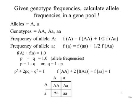 Alleles = A, a Genotypes = AA, Aa, aa