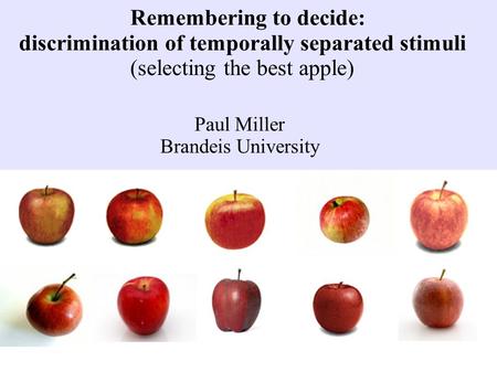 Remembering to decide: discrimination of temporally separated stimuli (selecting the best apple) Paul Miller Brandeis University.