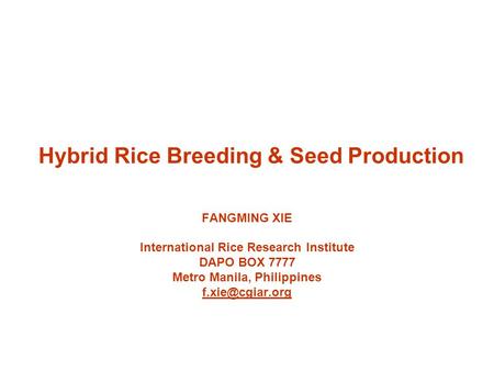 Hybrid Rice Breeding & Seed Production