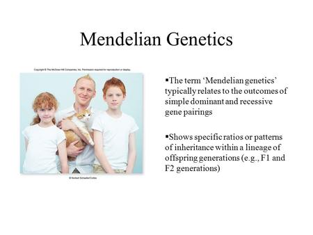 Mendelian Genetics The term ‘Mendelian genetics’ typically relates to the outcomes of simple dominant and recessive gene pairings Shows specific ratios.
