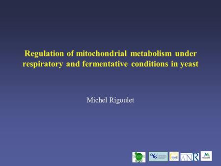 Regulation of mitochondrial metabolism under respiratory and fermentative conditions in yeast Michel Rigoulet.