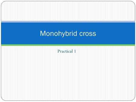 Monohybrid cross Practical 1.