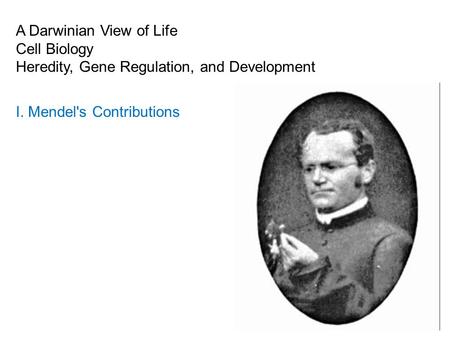 A Darwinian View of Life Cell Biology Heredity, Gene Regulation, and Development I. Mendel's Contributions.