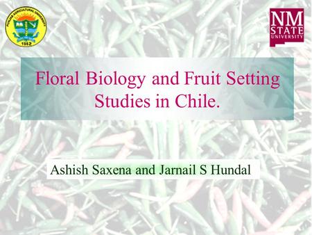 Floral Biology and Fruit Setting Studies in Chile. Ashish Saxena and Jarnail S Hundal.