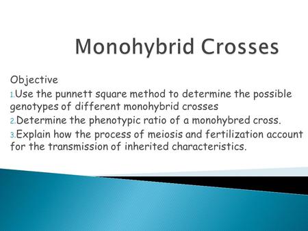 Monohybrid Crosses Objective