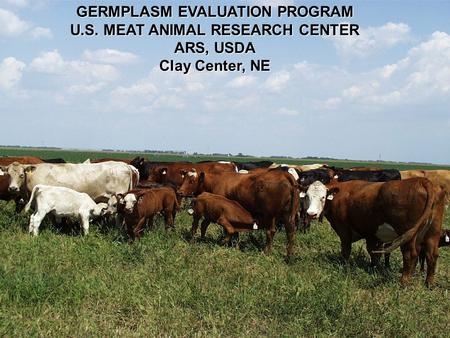 GERMPLASM EVALUATION PROGRAM U.S. MEAT ANIMAL RESEARCH CENTER