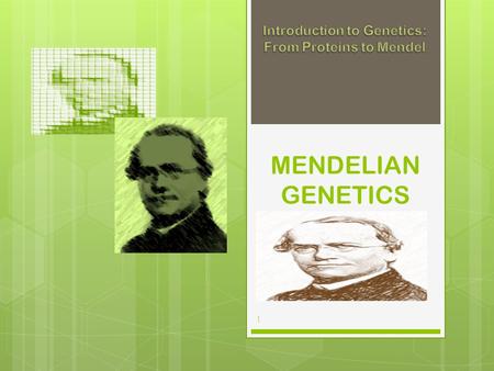 Introduction to Genetics: From Proteins to Mendel