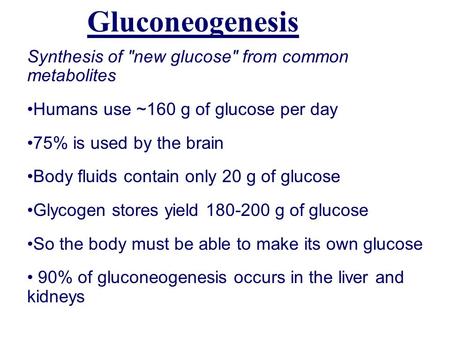 Gluconeogenesis Synthesis of new glucose from common metabolites