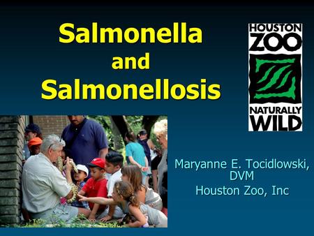 Salmonella and Salmonellosis Maryanne E. Tocidlowski, DVM Houston Zoo, Inc.