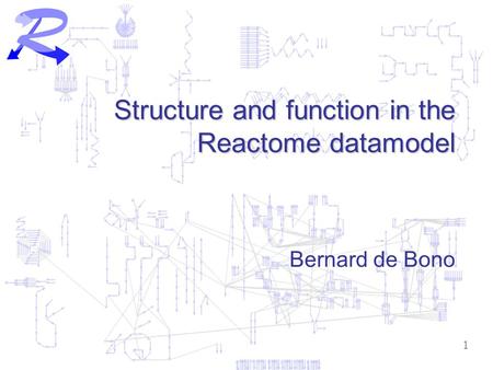 1 Structure and function in the Reactome datamodel Bernard de Bono.