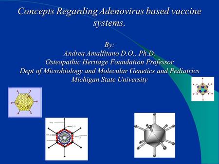 Concepts Regarding Adenovirus based vaccine systems. By: Andrea Amalfitano D.O., Ph.D. Osteopathic Heritage Foundation Professor Dept of Microbiology and.