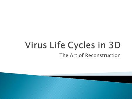 The Art of Reconstruction.  In order to survive, viruses must be able to do the following: ◦ 1. Find a host cell it can replicate in ◦ 2. Bind to that.