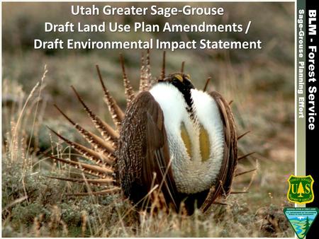 Sage-Grouse Planning Effort - Forest Service Sage-Grouse Planning Effort - Forest Service Utah Greater Sage-Grouse Draft Land Use Plan Amendments / Draft.