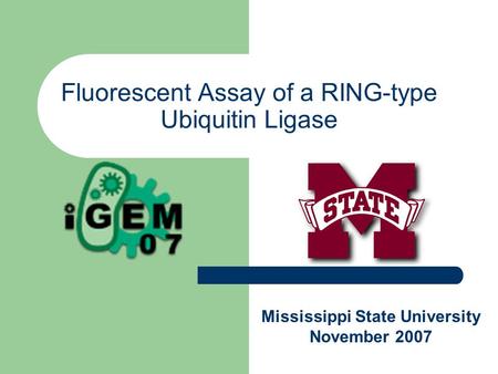 Fluorescent Assay of a RING-type Ubiquitin Ligase Mississippi State University November 2007.