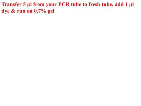 Transfer 5 µl from your PCR tube to fresh tube, add 1 µl dye & run on 0.7% gel.
