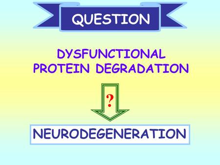 QUESTION DYSFUNCTIONAL PROTEIN DEGRADATION NEURODEGENERATION ?