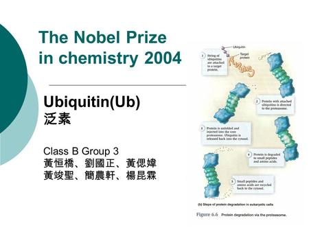 The Nobel Prize in chemistry 2004 Ubiquitin(Ub) 泛素 Class B Group 3 黃恒橋、劉國正、黃偲媁 黃竣聖、簡農軒、楊昆霖.