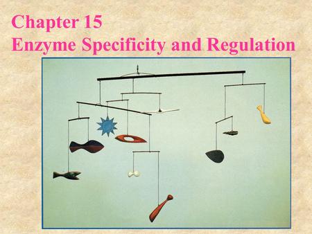 Chapter 15 Enzyme Specificity and Regulation. 15.1 Specificity Is the Result of Molecular Recognition 15.1.1 Enzyme Specificity Structural specificity.