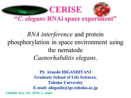 CERISE “C. elegans RNAi space experiment” CERISE “C. elegans RNAi space experiment” RNA interference and protein phosphorylation in space environment using.