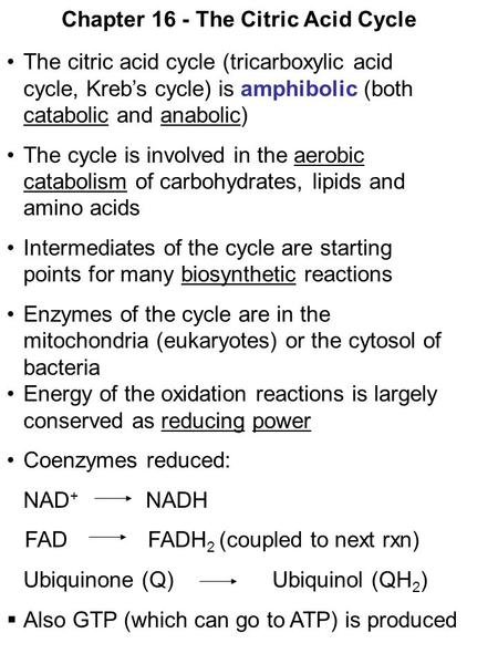 Chapter 16 - The Citric Acid Cycle The citric acid cycle (tricarboxylic acid cycle, Kreb’s cycle) is amphibolic (both catabolic and anabolic) The cycle.