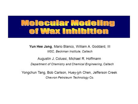 Yun Hee Jang, Mario Blanco, William A. Goddard, III MSC, Beckman Institute, Caltech Augustin J. Colussi, Michael R. Hoffmann Department of Chemistry and.