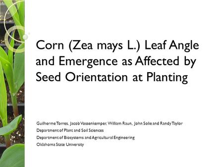 Corn (Zea mays L.) Leaf Angle and Emergence as Affected by Seed Orientation at Planting Guilherme Torres, Jacob Vossenkemper, William Raun, John Solie.