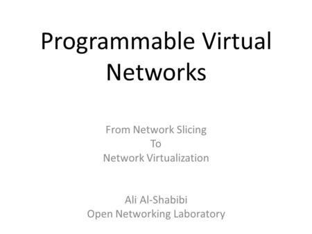 Programmable Virtual Networks