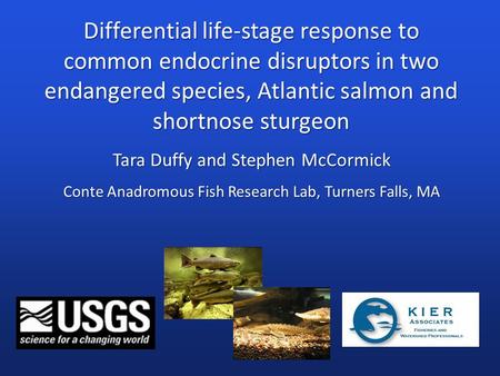 Tara Duffy and Stephen McCormick Conte Anadromous Fish Research Lab, Turners Falls, MA Differential life-stage response to common endocrine disruptors.