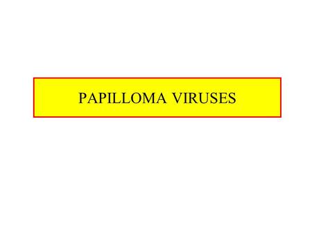 PAPILLOMA VIRUSES. Papilloma Viruses Characteristics –dsDNA viruses (circular) –Genone 8 kbp –Genome associated with cellular histones –Naked capsid Widespread.