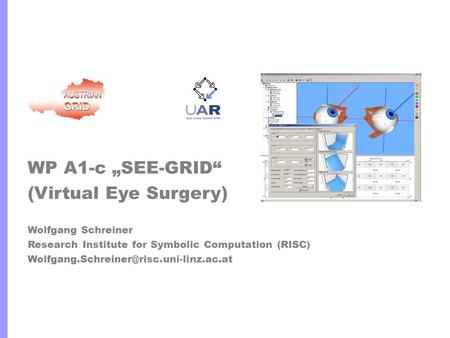 WP A1-c „SEE-GRID“ (Virtual Eye Surgery) Wolfgang Schreiner Research Institute for Symbolic Computation (RISC)
