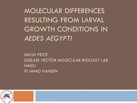 MOLECULAR DIFFERENCES RESULTING FROM LARVAL GROWTH CONDITIONS IN AEDES AEGYPTI DAVID PRICE DISEASE VECTOR MOLECULAR BIOLOGY LAB NMSU PI IMMO HANSEN.