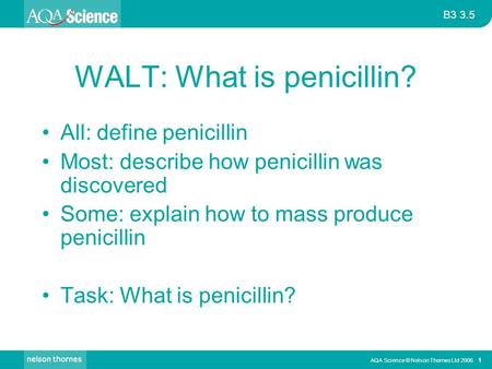 WALT: What is penicillin?